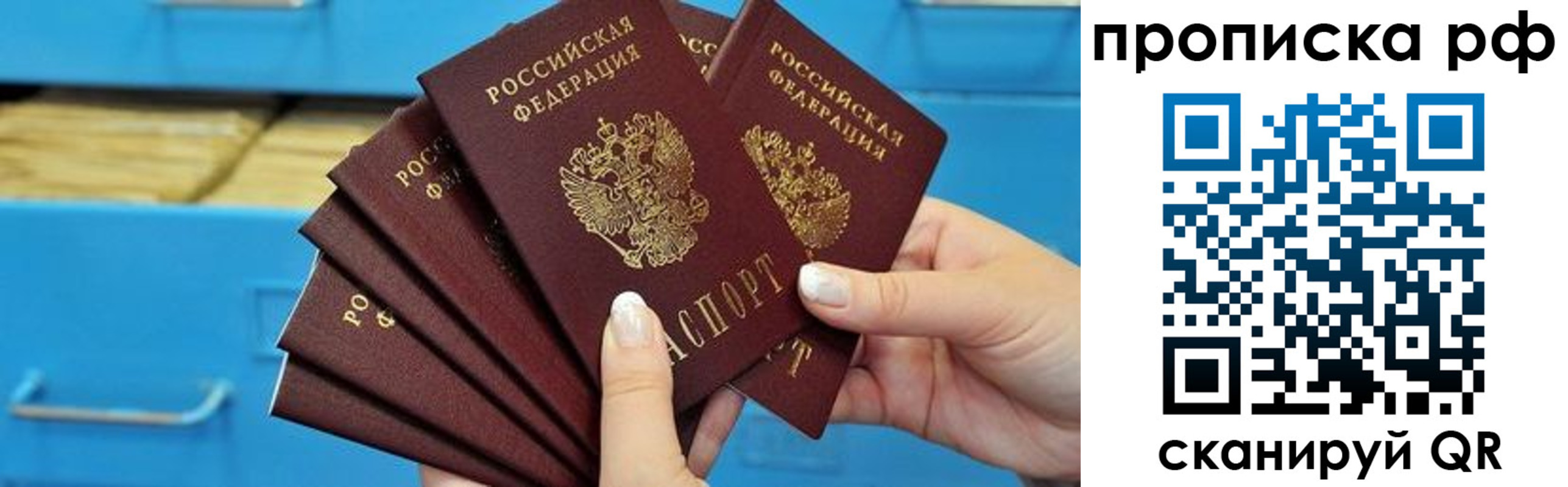 прописка поиск в Котовске